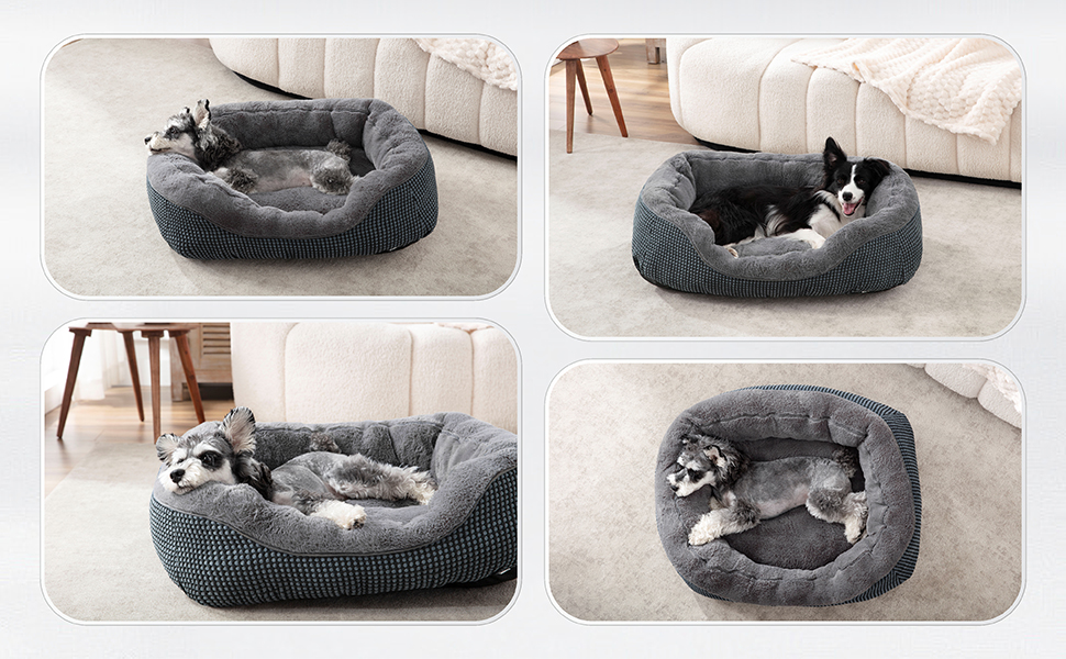 dog beds for medium dogs