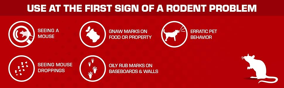 Use at the first sign of a rodent problem; seeing a mouse, seeing mouse droppings...