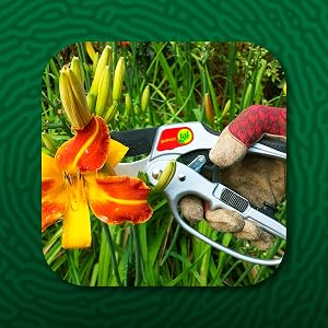 pruners, ratchet pruners, pruning shears,