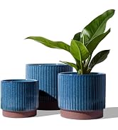 LE TAUCI Ceramic Plant Pots with Drainage Holes, Set of 3, 8+6.7+5.5 Inch Stripe Garden Planter P...