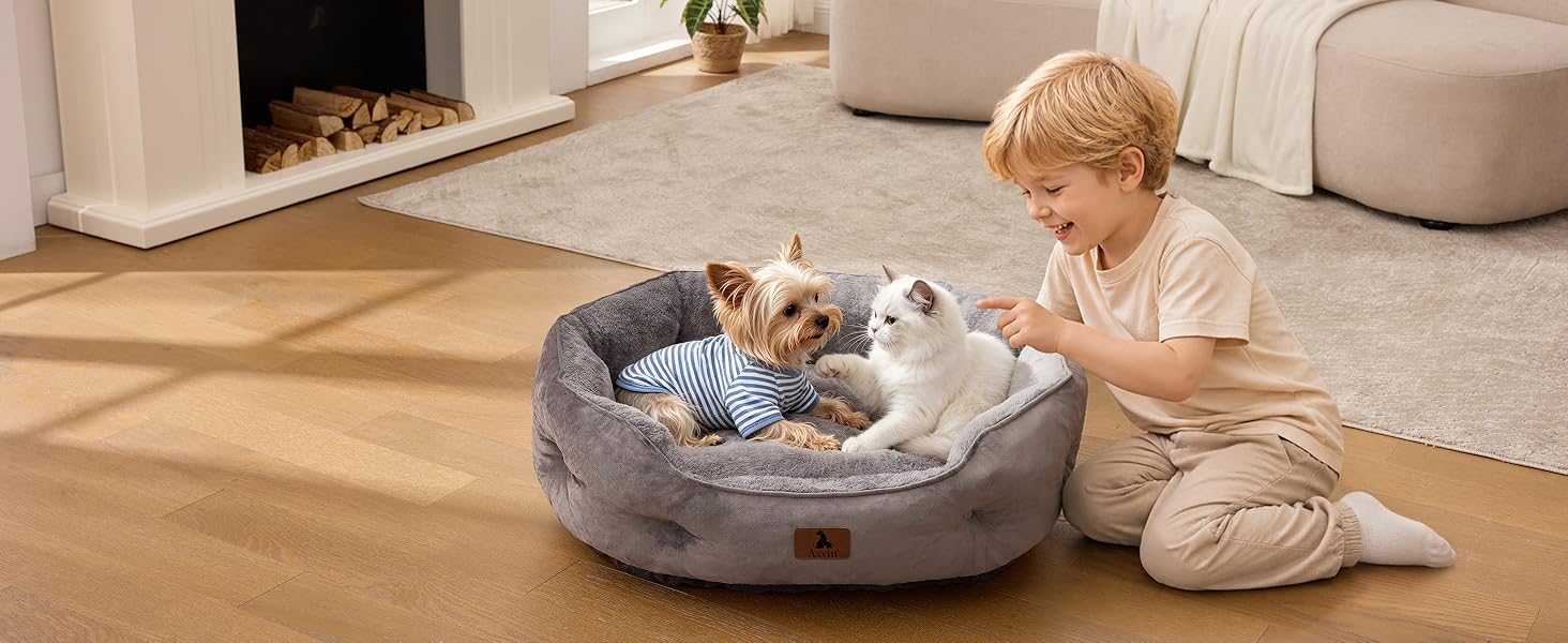 cat beds for indoor cats