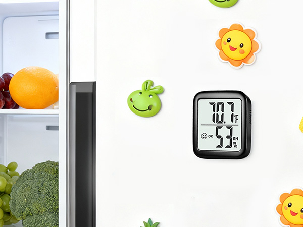 thermometer and humidity gauge