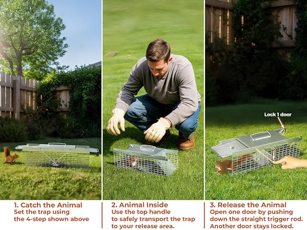 small animal live trap for rats