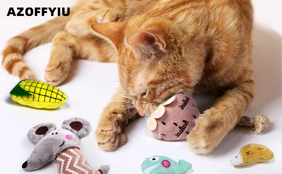 cat nip