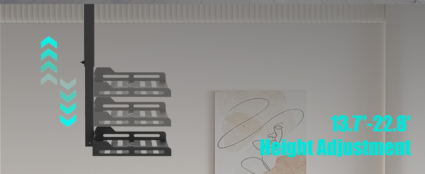 Projector Ceiling Mount