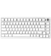 YUNZII B75 Mechanical Keyboard,75% Hot Swappable Keyboard with Knob,RGB Gasket Gaming Keyboard wi...