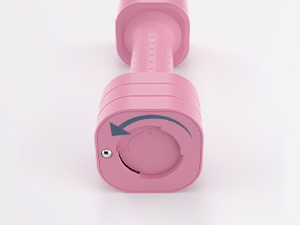 Adjustable Dumbbell Set of 2 Adjustable Weights Dumbbells Set Free Weights Dumbbells Set for Women