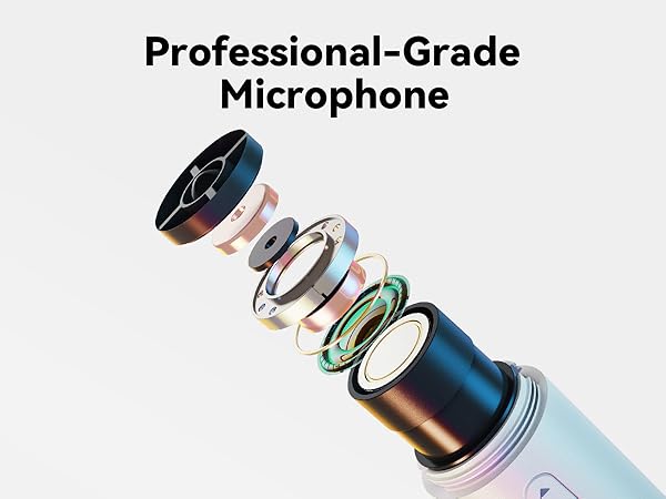 tesla car karaoke microphone for model y