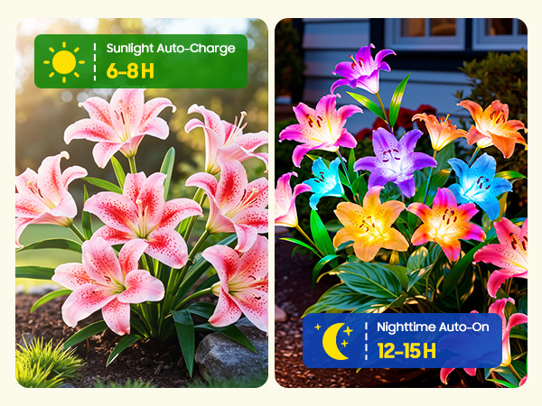 garden lights