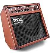 Acoustic Electric Guitar Amplifier, 15 Watt Portable Mini Amp with Chorus, Volume, Bass, Middle, ...