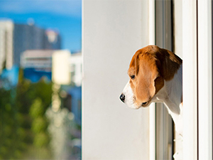 sliding window lock