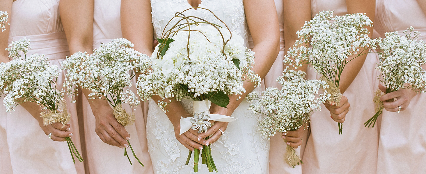 babys breath