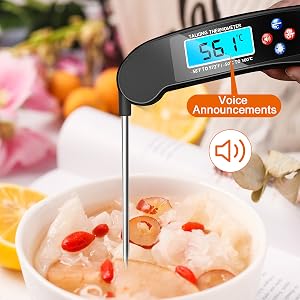 Digital Talking Thermometer
