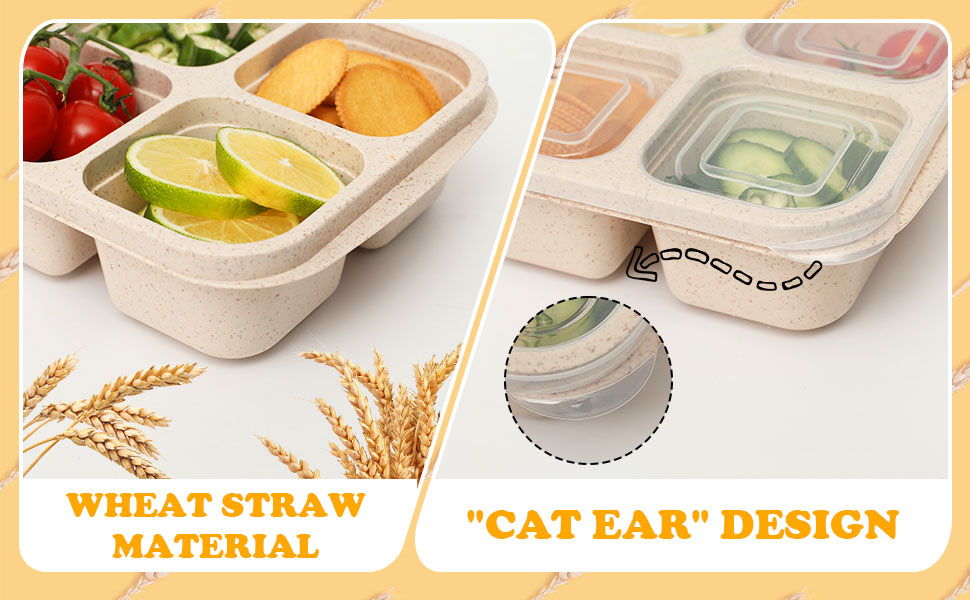 Bento Snack Box for Kids