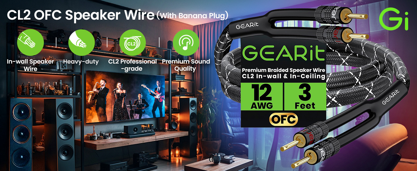 speaker wire with banana plug