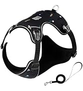 TRUE LOVE Dog Harness and Leash Set, Adjustable Breathable Reflective Ultralight Puppy Harness fo...