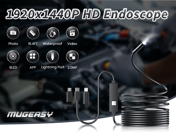 endoscope