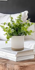 https://m.media-amazon.com/images/S/aplus-media-library-service-media/249a6563-be2a-4f09-9514-7ac1c7d5b3c1.__CR583,296,281,562_PT0_SX150_V1___.jpg