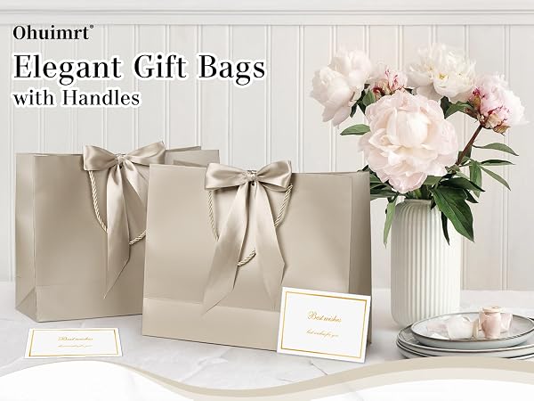 gift bag with handles