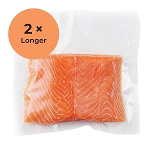 vacuum sealer for food