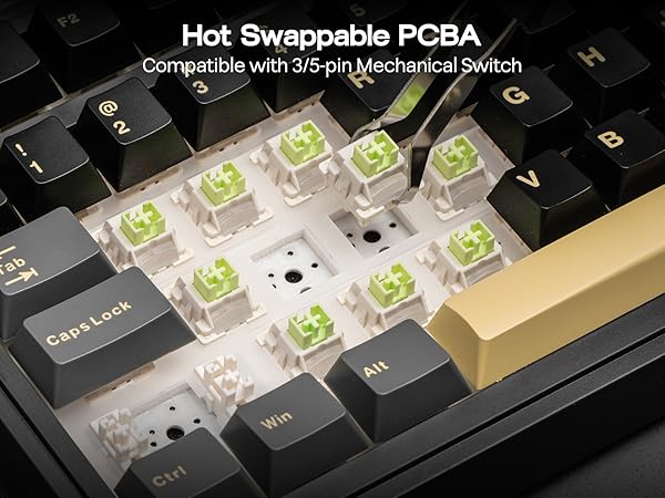 EA75 MAX Wireless Mechanical Keyboard