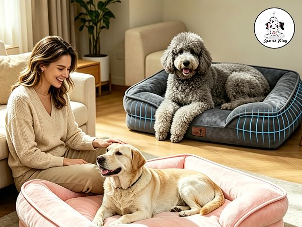 Dog Sofa Beds
