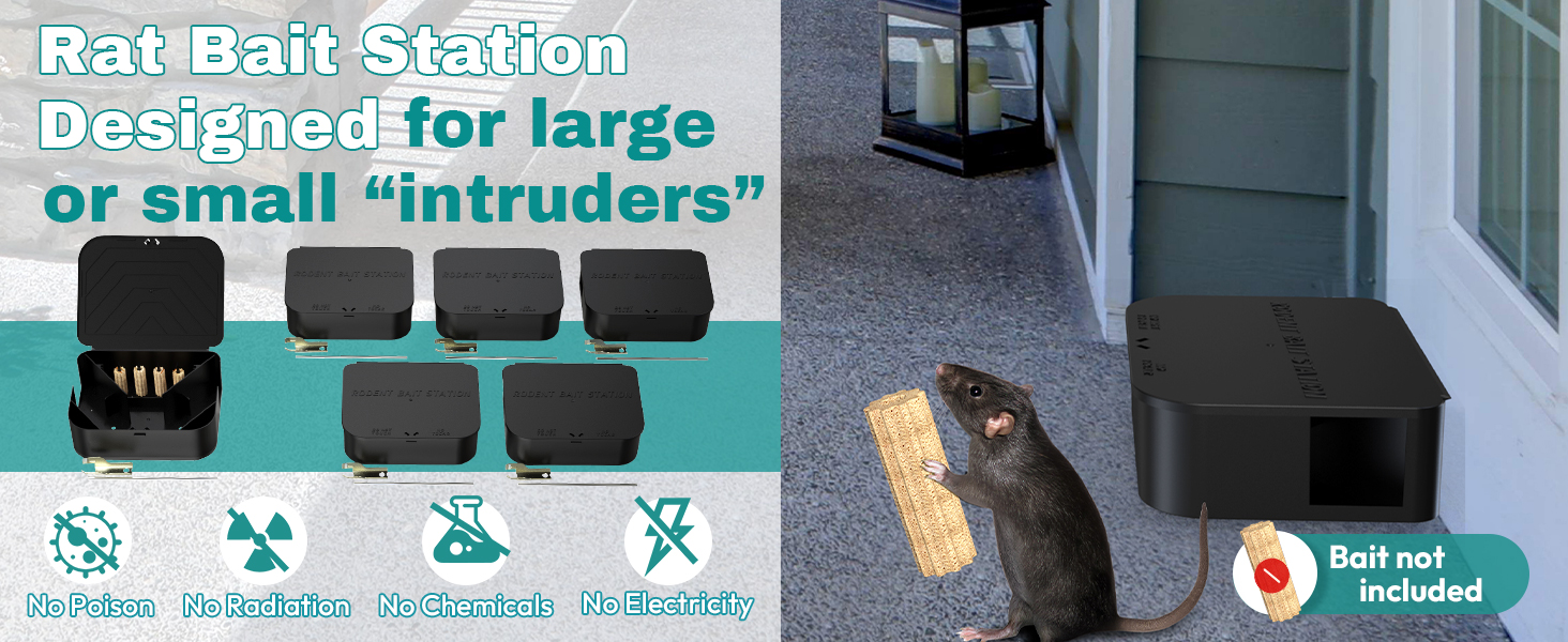 rat stations