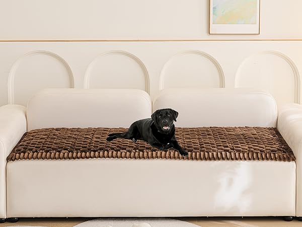 Dark Brown Couch Cover