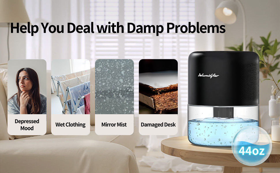 Help You Deal with Damp Problems