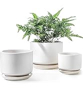 LE TAUCI Ceramic Plant Pots, 4.3+5.3+6.8 inch, Set of 3, Planters with Drainage Hole and Saucer, ...