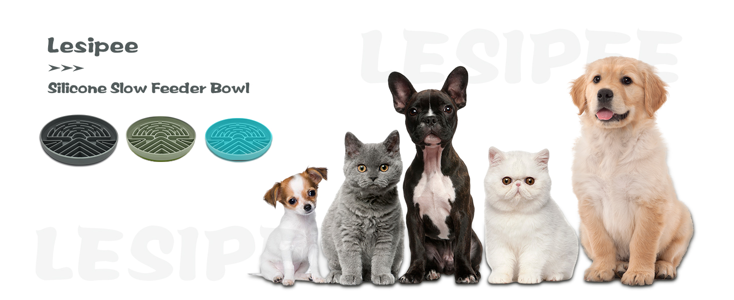 Slow feeder bowl