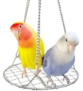 Bird Swing Perch Stainless Steel, Toy for Small Animal Parakeet Cockatiels Conures, Hanging Bird ...
