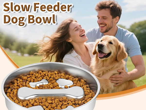 Stainless Steel Slow Feeder Dog Bowls