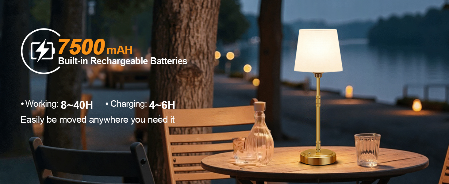 Large capacity battery