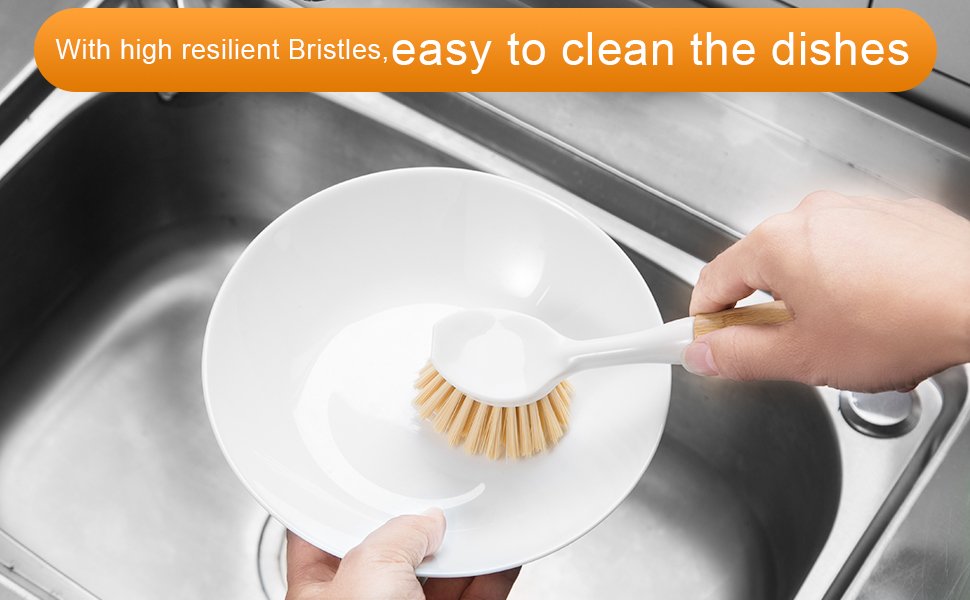 dish brush with handle