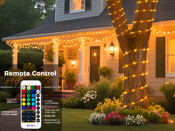 christmas lights outdoor
