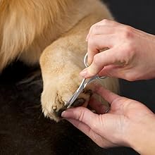 Our precise cat and dog scissors for grooming are crafted with rounded tips that curve away to safel