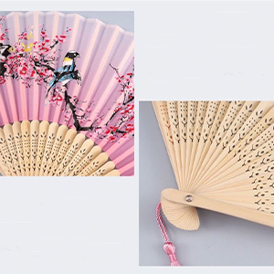 Folding Hand Fan for Women