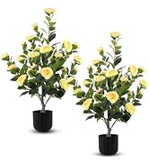Hananona 2 Pcs Artificial Camellia Trees Faux Camellia Plant in Pot with Flowers Indoor Plants fo...
