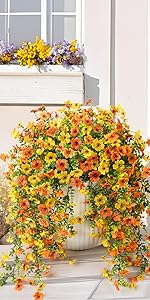 https://m.media-amazon.com/images/S/aplus-media-library-service-media/5771997e-8b3d-4efa-9820-0e1b741b5e2b.__CR276,0,800,1600_PT0_SX150_V1___.jpg