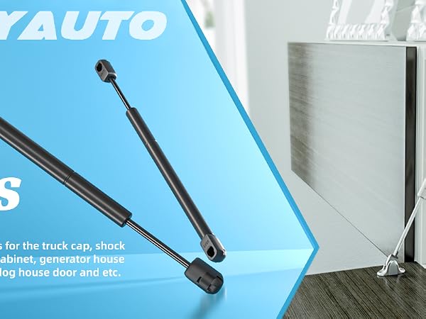 Gas Struts