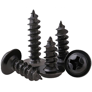 truss head screw-black