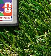 SANDISK CFexpress Type B 04