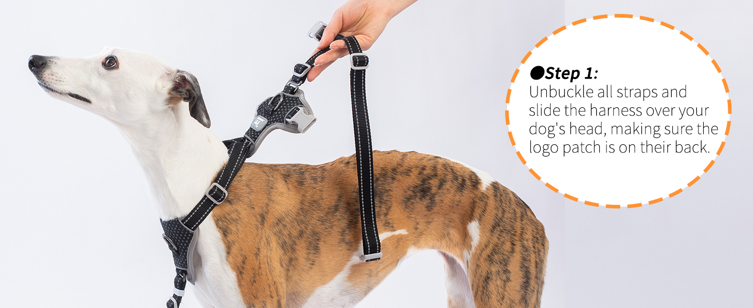 escape proof dog harness