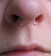 clear septum 625