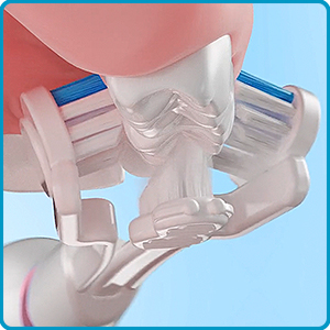 Triple Bristle Replacement Brush Heads for Sonic Toothbrush