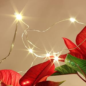 plug in fariy lights