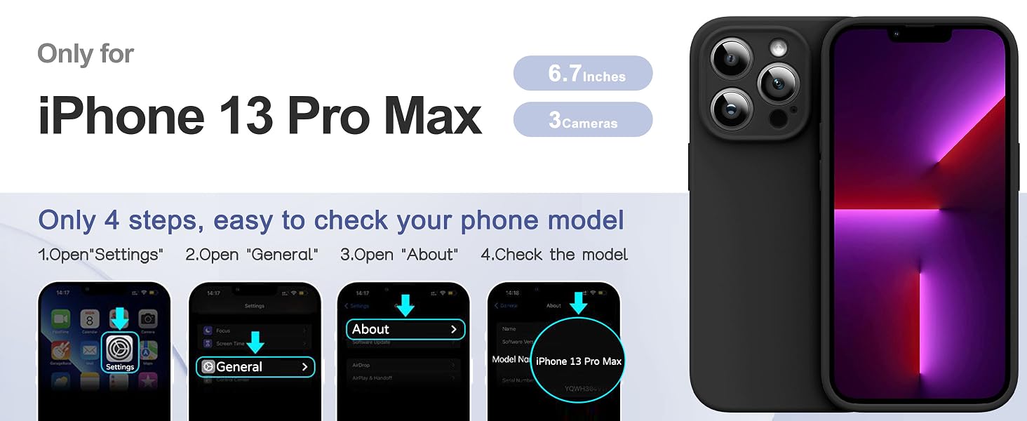 iPhone 13 Pro Max Case