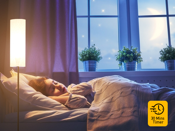 Frideko Floor Lamp with 30mins Timer