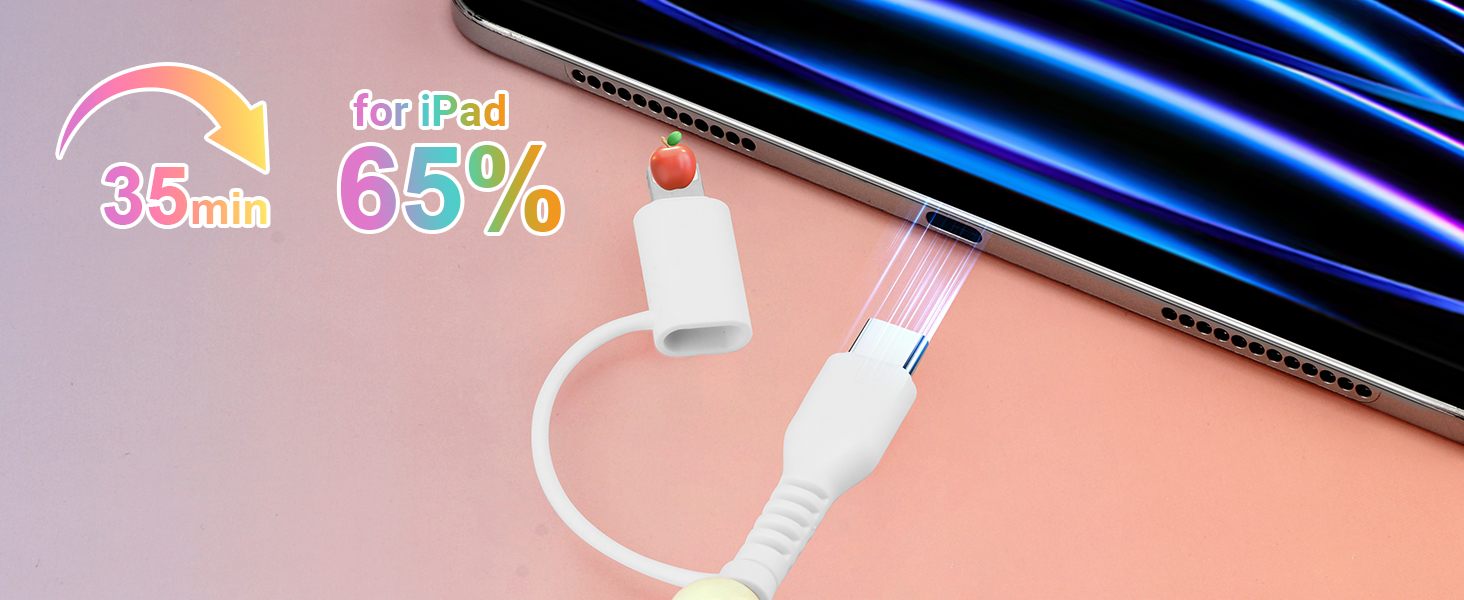Beaded phone charger for iPhone 16 15 14 13 12 11